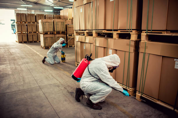 Best Flea Control Services  in Magna, UT