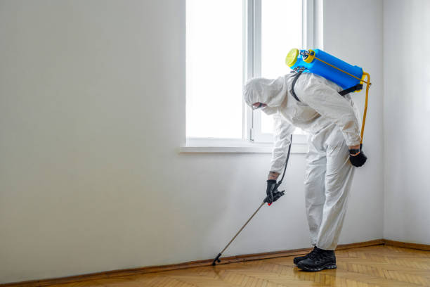 Best Affordable Pest Control Services  in Magna, UT
