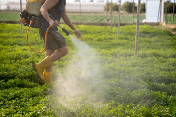 Best Pest Removal Services  in Magna, UT