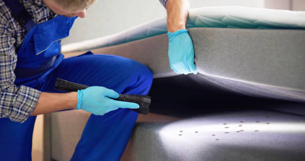 Best Termite Control Services  in Magna, UT