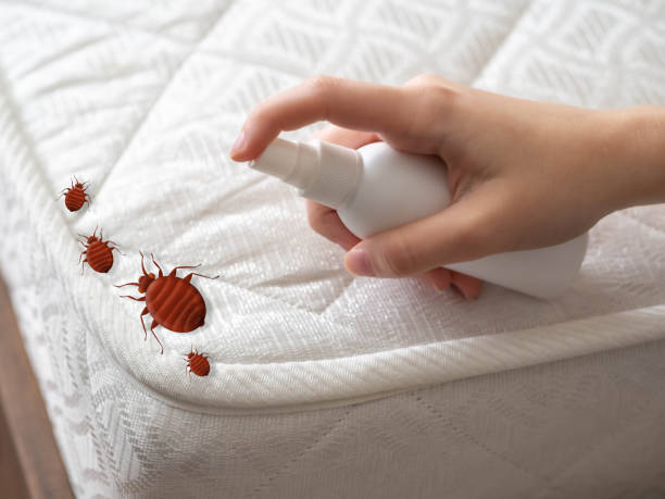 Best Best Pest Control Companies  in Magna, UT