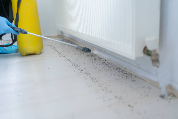 Best Exterminator Services  in Magna, UT