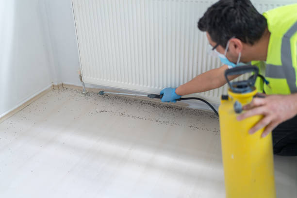 Best Emergency Pest Control  in Magna, UT