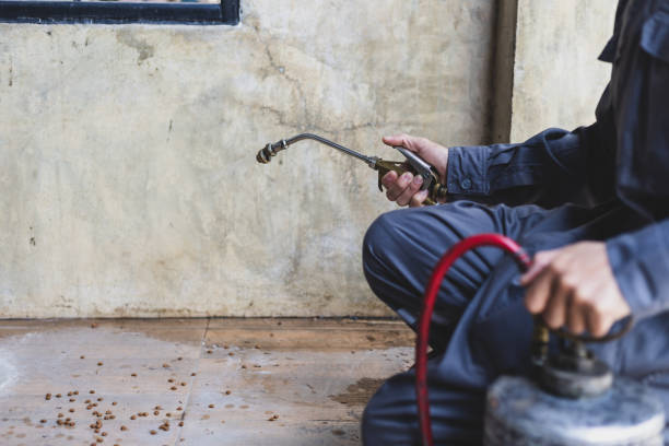 Best Wasp Removal Services  in Magna, UT